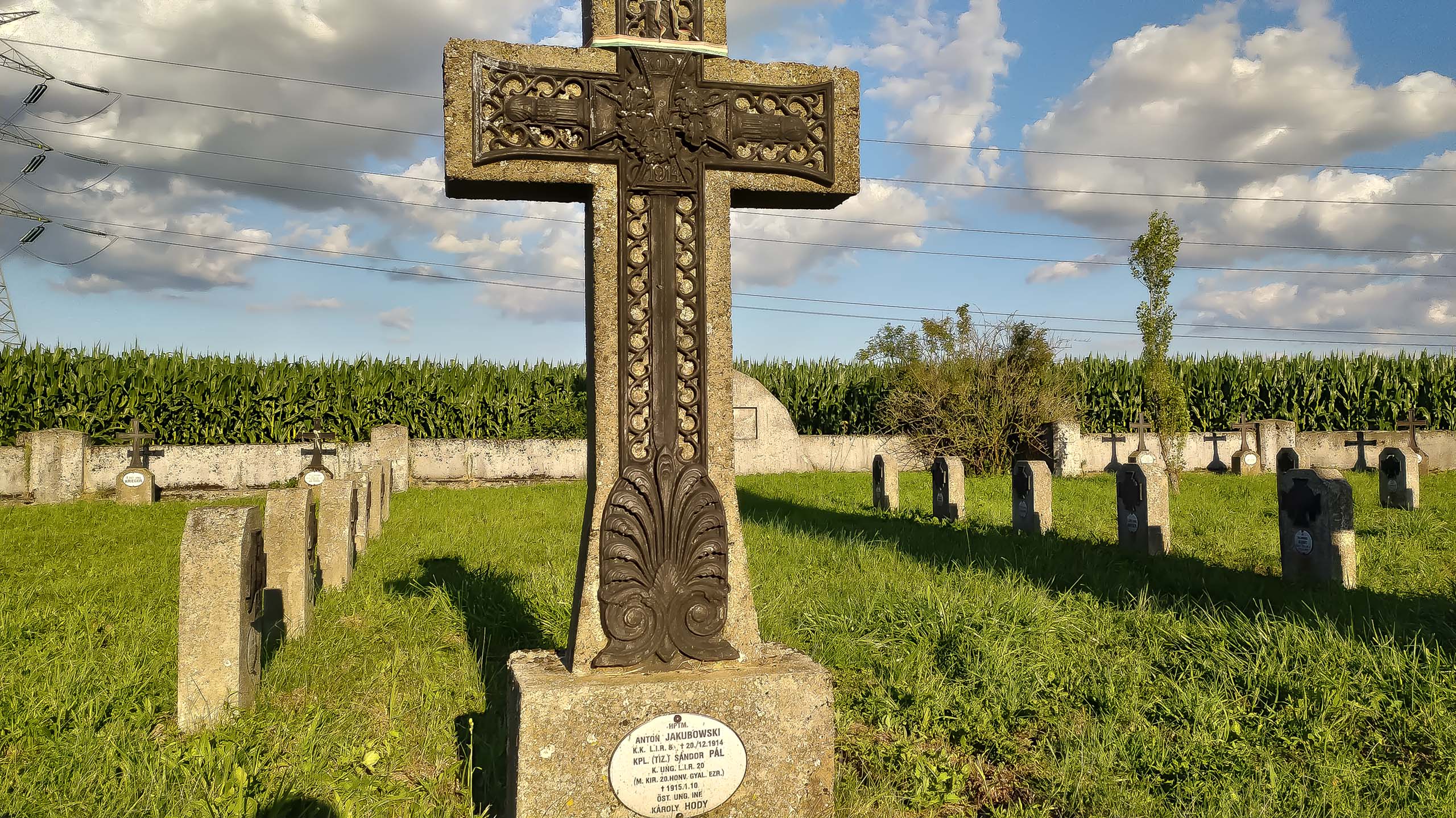 IMG 20200801 181452 kopia